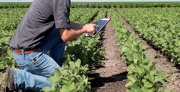 Agriculture intelligente face au climat et à la déforestation