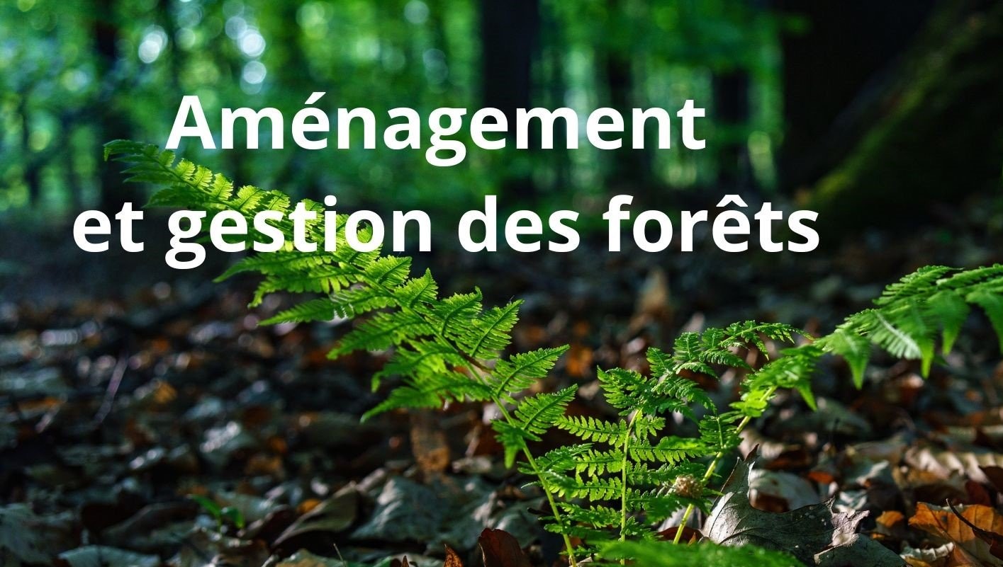 Aménagement et Gestion Durable des Forêts
