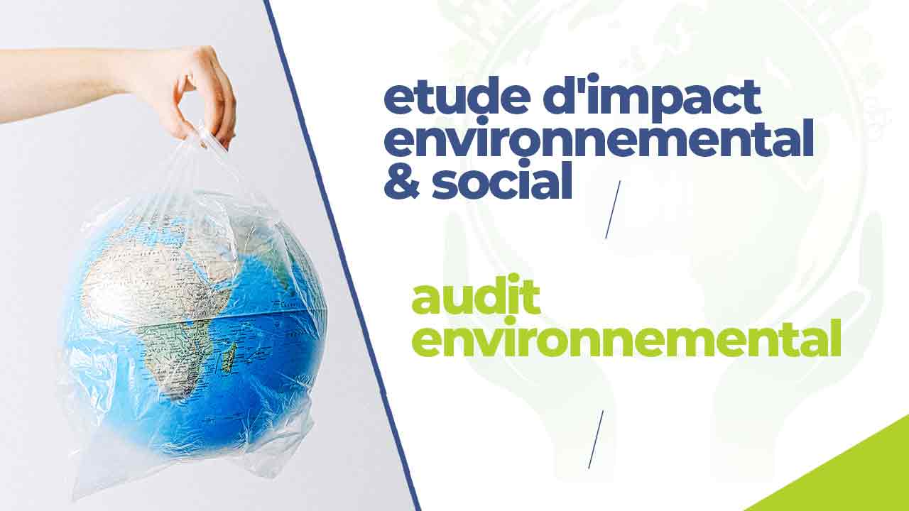 Étude d'Impact Environnemental et Social (EIES) selon les Normes Internationales