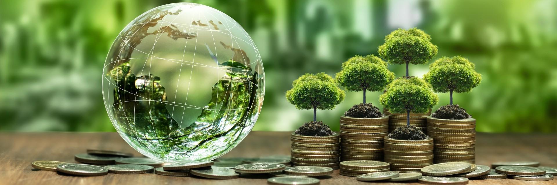 Elaboration de projets intégrants les changements climatiques : outils et mécanismes de financement